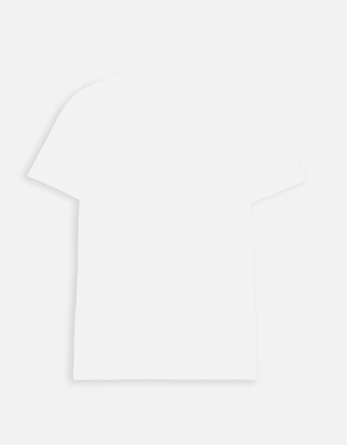 Back_2_c_1.jpg